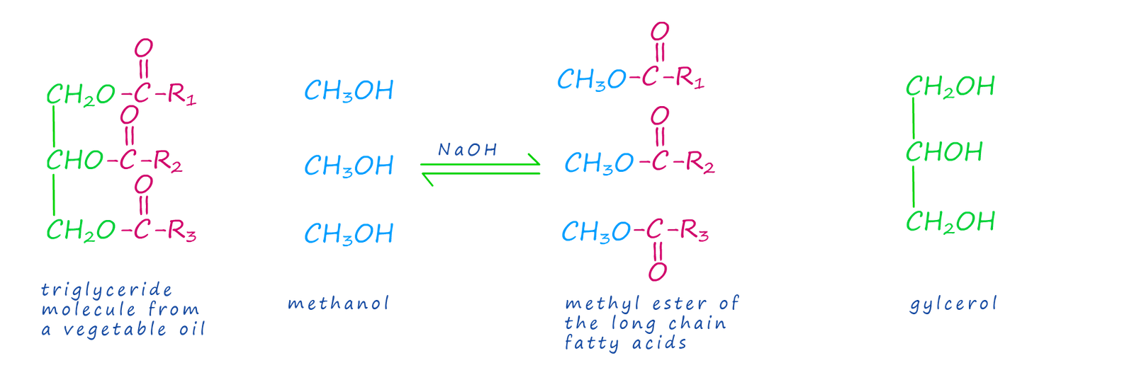 equation for transesterification of a triglyceride